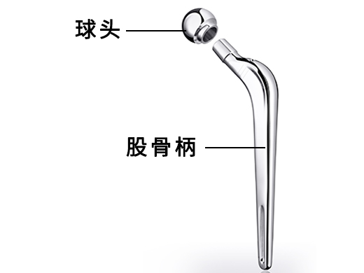 人體髖關(guān)節(jié)拋光后示意圖